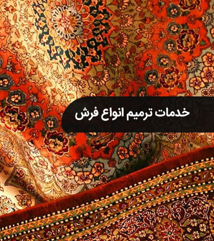 قالی شویی آریا